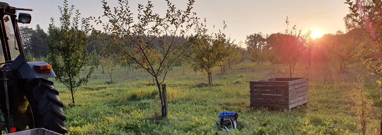 Mosteri, eplepresse, plukketasker, ciderbryggegrej, honningpresse, velkommen her