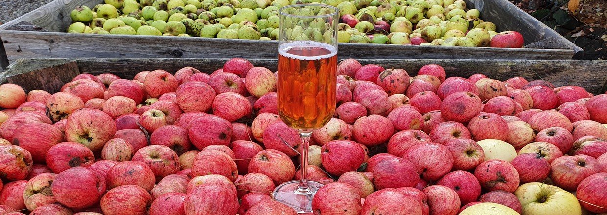 Make your own french cider