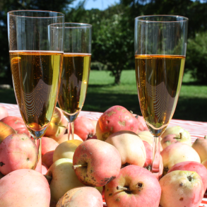 Cider Brygsæt og Brygning