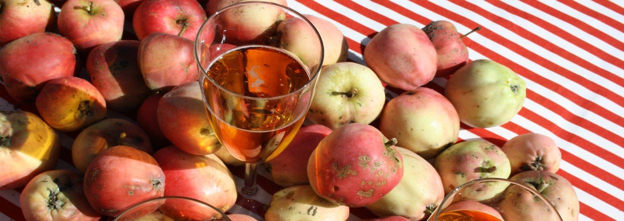 ciderfremstilling, hjemmelavet cider, lave cider, cidergr, brygge cider, cideropskrift,