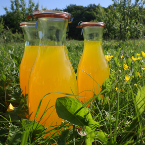 Weck glas- og flasker