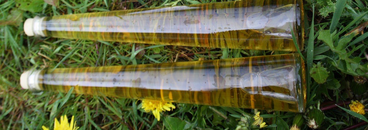 Mjød, lær at brygge din egen.