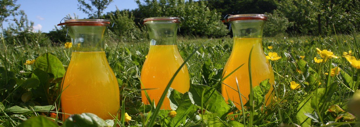 Weck glas- og flasker fra Nordisk SelvForsyning