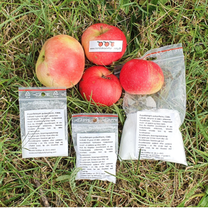 Undgå brunfarvning af most