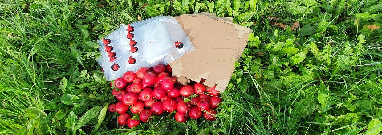 Bag-In-Box Emballage Til Æblemost