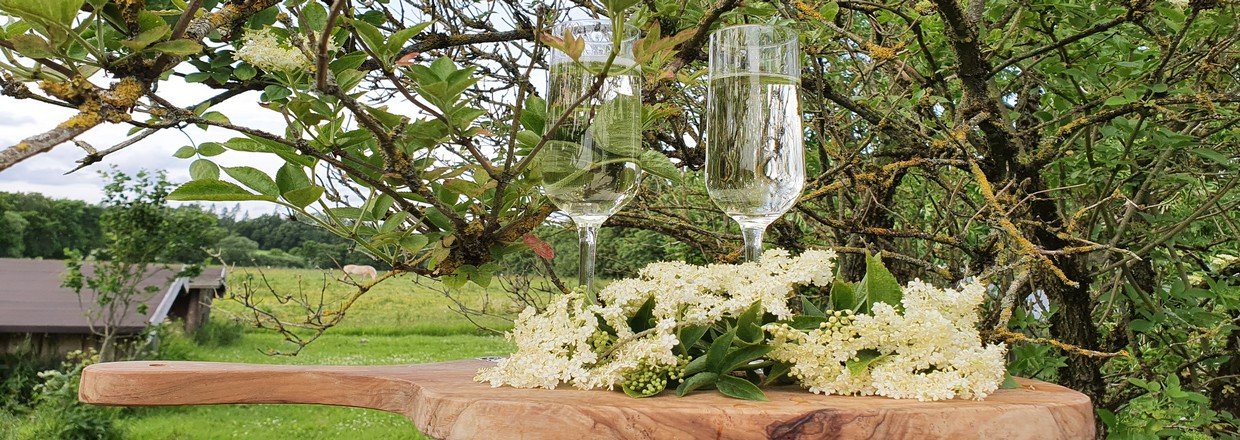 Mousserende hyldeblomstchampagne