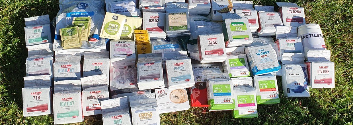 Vingær Til Cider, Vin og Frugtvine