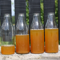 Glasflasker Str. 0,75 Liter 100 stk. Leveres Inklusiv Lg