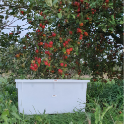 Plastkar - Fdevareegnet - 150 l.