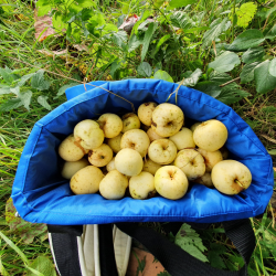 Plukketaske Med Spand 10 kg. Medium