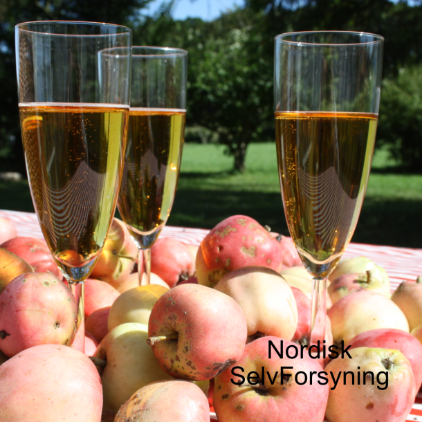 Komplet proppepakke til Ciderbryg/ Mousserende Vin m. 0,75 cl. champagneflasker + propapparat 3-fod