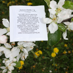 Champagnegr, Vingr Bioferm Champagne