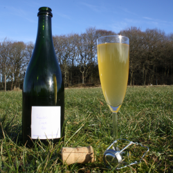 blecider, Fransk cider, Cider Brygst, Ciderfremstilling, 26 l.