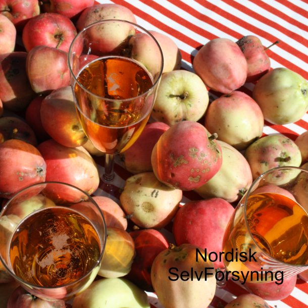 Cider Komplet, 10 l.