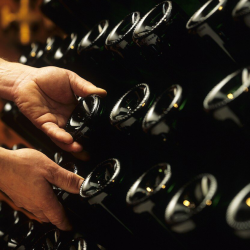 Pupitre, Champagnereol, Vinreol, fransk, massiv eik, 120 flasker