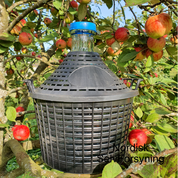 Vinballon 5 l. i kurv med htte og grrr