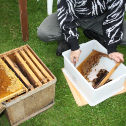 Mjd, komplet st til 10 l. mjd med flasker.