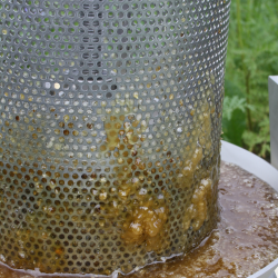 Honningpresse, 30 liter, komplet rustfritt stl