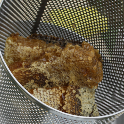 Honningpresse, 30 liter, komplet rustfritt stl