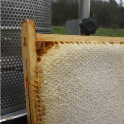 Honningpresse 20 liter, komplet rustfritt stl.