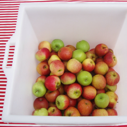 Plastkar - Fdevareegnet - 60 l.