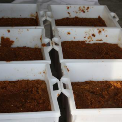 Plastkar - Fdevareegnet - 60 l.