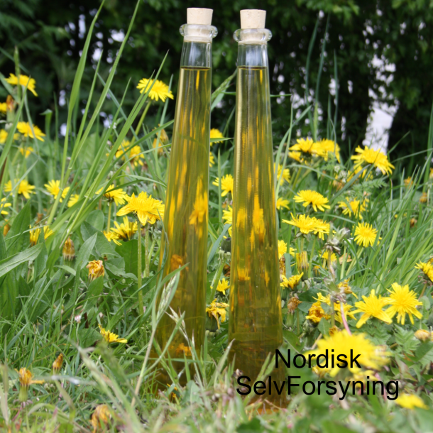 Frugtmjd. Brmjd. Mjd. Mjdbrygst til 10 liter, komplet med malolaktisk gring og flasker.