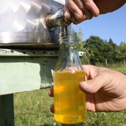 Pasteuriseringstank 50 liter - Rustfri 