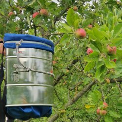 Plukketaske Med Spand 10 kg. Medium