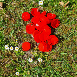 Plastemballage, 100 stk. skruelg til 5 liters dunke