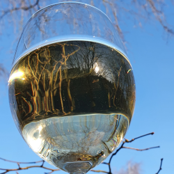 Birkevin brygst 10 l.