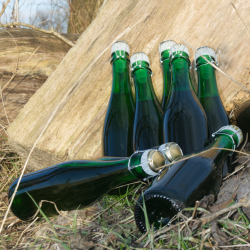 blecider, Fransk cider, Cider Brygst, Ciderfremstilling, 26 l.