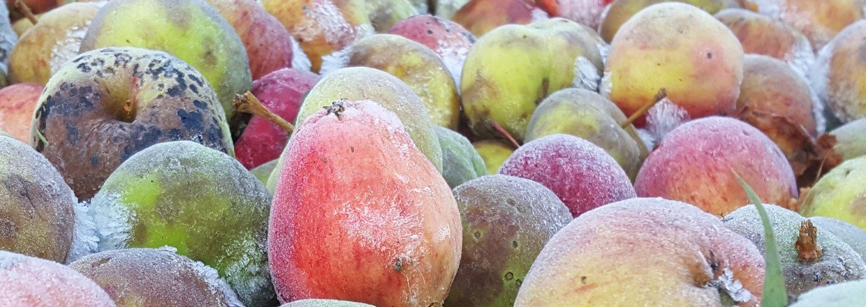 Spændende produktnyheder på vej.