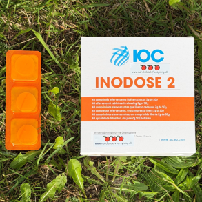 IONODOSE 2 IOC- Sulfittabletter, 6 stk.