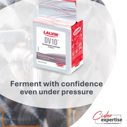 LALVIN DV10  - G�r Fra Lallemand
