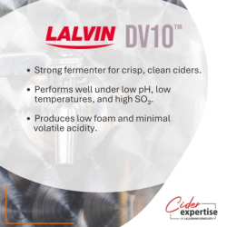 LALVIN DV10  - G�r Fra Lallemand