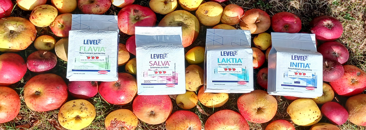 Nu kommer de nye Lalvin Level 2 non-Saccharomyces g&aelig;rtyper