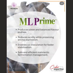 ML Prime - Lallemand