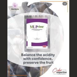 ML Prime - Lallemand