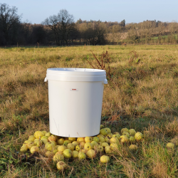 Spann Med Lokk, 25 liter