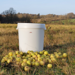 Spann Med Lokk, 25 liter