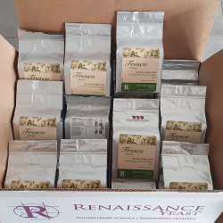 Cidergjr Renaissance - Fresco