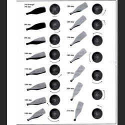 Pupitre, Champagnereol, Vinreol, fransk, massiv eik, 120 flasker