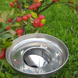 Mosteri. Hydropresser 35 l. og Elektrisk blekvrn 600 kg/t