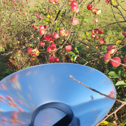 Fruktkvern, Lancman, Komplet Rustfritt, Elektrisk, 1200 kg./ t.