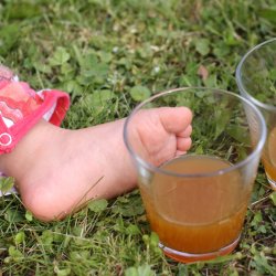 Mosteri Komplett - Eplepresse Bketr 11 l. + Eplekvern 15 l.