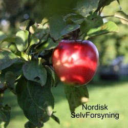 Mosteri Komplet. blepresse Bgekurv 20 l. + blekvrn 15 l.