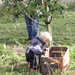 Mosteri. Hydropresser 35 l. og Elektrisk blekvrn 600 kg/t