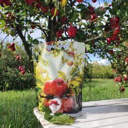 Pouch Emballasje, 3 liter, 10 stk.