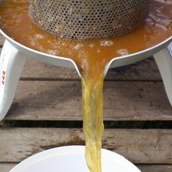 Frugtpresser rustfri, 10 liter